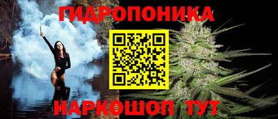 дурь Камышлов