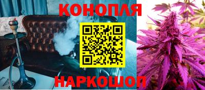 дурь Камышлов